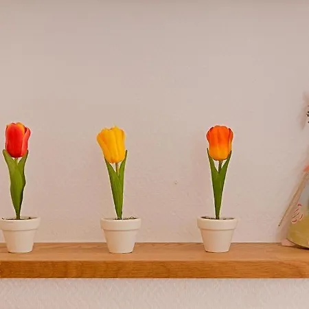 度假居 Kapitaenshaus - Kajuete